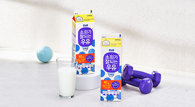 소화가 잘되는 우유 단백질
