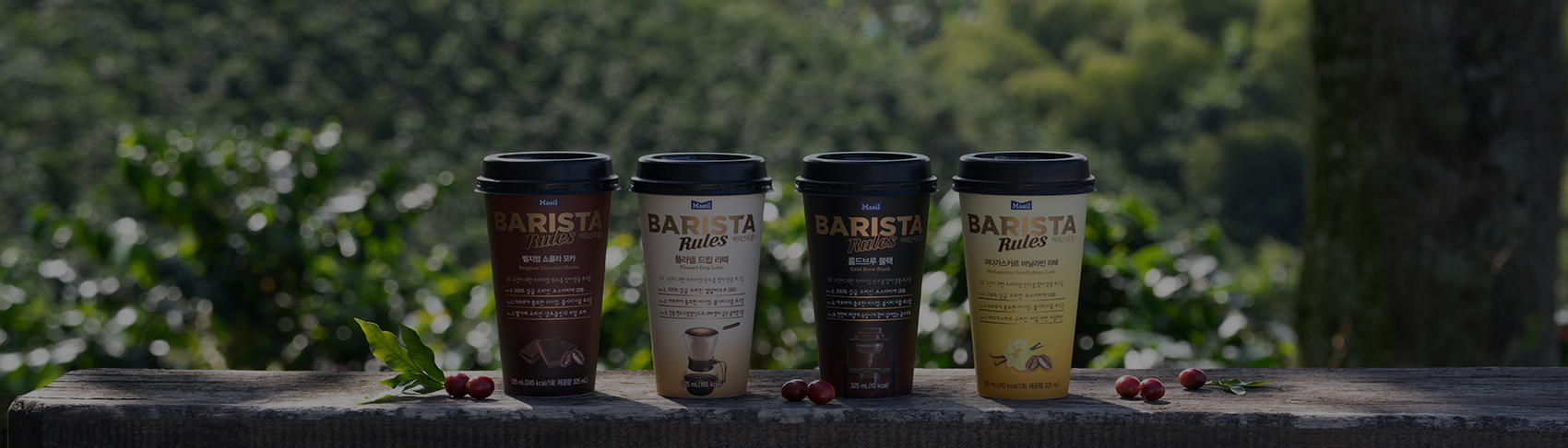 Maeil BARISTA Ruls 바리스타룰스