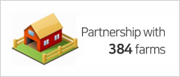 Partnership with 380 farms